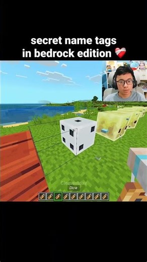 Minecraft Secret Sulfur Cube Name Tags Moment