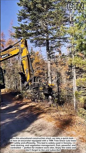 Extreme Forestry Tool! TMK Tree Shear on Excavator – Educational Short