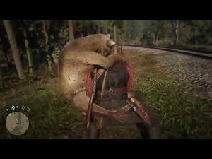 RDR2: Mountain lion attack