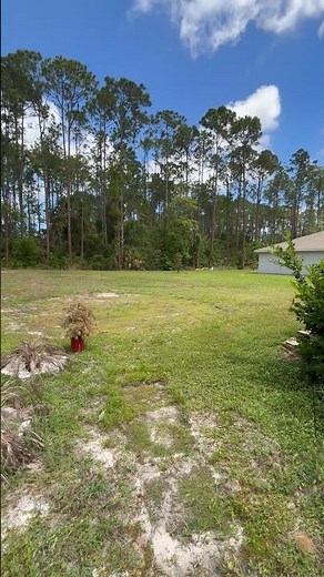 Beautiful 3 bed 2 bath house with huge backyard and private pergola with fan in Palm Coast Florida