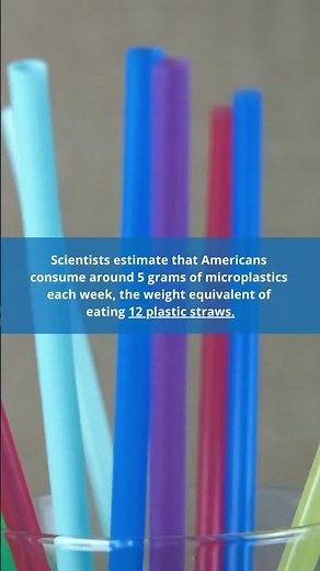 How Microplastics Impact Your Health