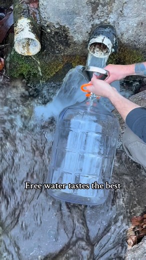 Bearfoot Cubs Farm on Instagram: "I haven’t been making as much content recently. Winter slows things down a tad, so here’s a video of our monthly run to the spring. We are one of those weird families who actually believes in avoiding toxins as much as possible. So instead of drinking city water or drinking plastic water for $100 a month or more for a family of 6, we get this free and pure straight from the spring. #springwater #water #homesteading #farmlife #homesteadlife #simpleliving #country