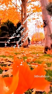 104K views · 2.2K reactions | * Tuzno Leto * #TomaZdravkovic | Od Srca Do Srca | Facebook