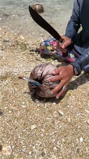 You Won't Believe What’s Hiding Inside This Coconut! 🥥🦀