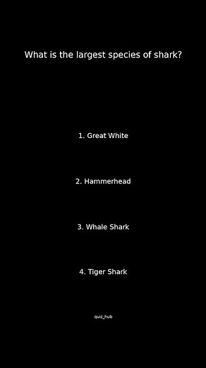 Can YOU Guess the BIGGEST Shark?