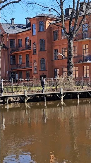 Uppsala my beautiful city. #sweden #uppsala #lifeisbutadream #travel ##visituppsala