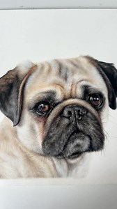 The pencils vs the artwork ✍🏼 | Bethany Vere Artist