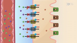 Video: Nonlinear Pharmacokinetics: Causes of Nonlinearity