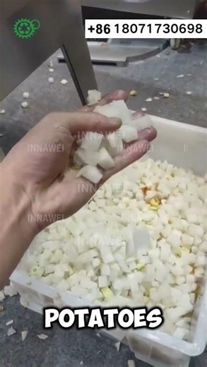 Large Vegetable Slicer Vegetable Chopping Machine Potatoes Cutting Machine Radishes Cutting Machine