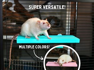 Wooden Rat Cage Platform for Fancy Rat Cage Ledge for Chinchilla Cage Platform for Rodent Climbing Ramp for Small Animal Cage Climbing Toys - Etsy