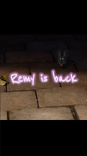 Ratatouille 2 is coming soon.