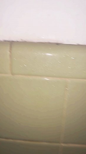 Tyler Scott (@official_tylerscott)’s videos with