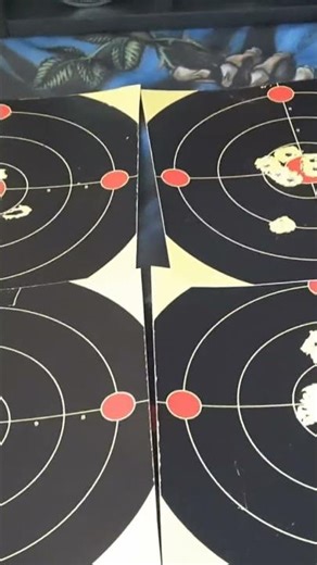 Weihrauch HW97K in 177 Gamo Match vs Wasp Domed #airgunshooting #2025 #pelletrifle
