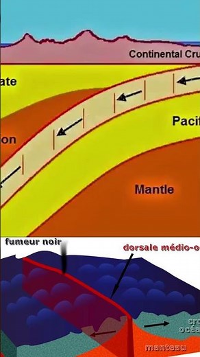 La mer Rouge est en train de créer un nouvel océan 🤯🌊 #MerRouge #Géologie #DorsaleOcéanique