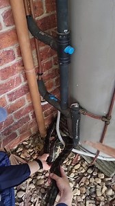 200K views · 2.9K reactions | Python With a Boof Head! Plenty of snakes on the move at the moment, especially Carpet pythons which enjoy curling up in such random spots sometimes! | Sunshine Coast Snake Catchers 24/7 | Facebook