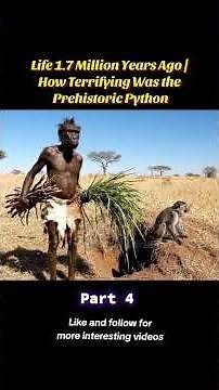 Life 1.7 Million Years Ago | How Terrifying Was the Prehistoric Python Witness a silent journey