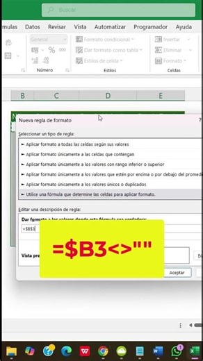 How to apply automatic borders in Excel in seconds. #excel #exceltips #productivity