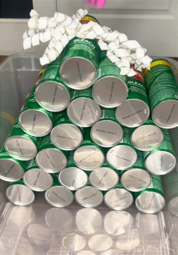 Festive Cleaning with 25 OG Cans