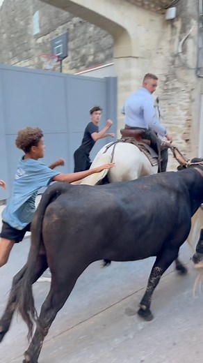 Abrivado Codognan | Jean Philippe Bouchoux