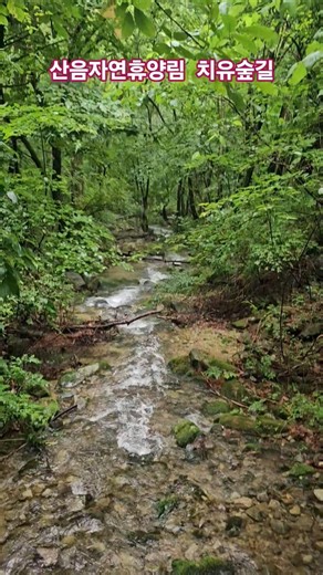 국립산음자연휴양림 #휠링숲길 #산음자연휴양림 # #한태연여행