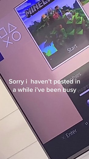 crafters.SMP on TikTok