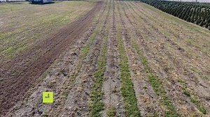 66K views · 160 reactions | Can you help this New Jersey tree farmer...