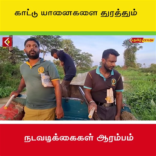 காட்டு யானைகளை துரத்தும் நடவடிக்கைகள் ஆரம்பம் | Tamil Ceylon