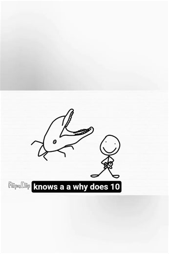 What do you call a man (MEME)