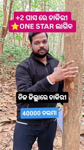 Amiya Sir on Instagram: "🌲 OSSSC Forester Vacancy Out! +2 Pass ପିଲାମାନଙ୍କ ପାଇଁ One ⭐ Uniform Job 💪 Power, Respect & Government Career – ସବୁ ଏକ job ରେ 🔥 👉 Full details video ଦେଖନ୍ତୁ 🌳 OSSSC Forester Recruitment – +2 Pass Direct Job ✔️ Qualification – +2 Pass ✔️ Post – Forester (One ⭐ Uniform Job) ✔️ Department – Forest & Environment, Odisha 📝 Selection Process (Expected) 1️⃣ Written Exam 2️⃣ Physical Test 3️⃣ Document Verification 📚 Exam Subjects 📘 GK & Current Affairs 📗 Mathematics 📙 E