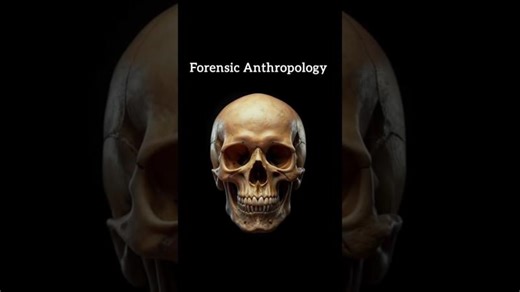 Male vs Female Skull Differences 💀 | Forensic Anthropology Explained #shorts | Shivi Forensics