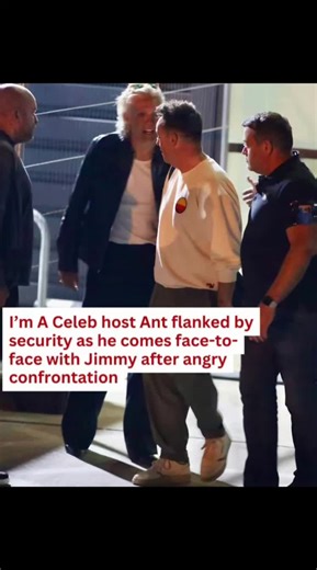 Ant McPartlin Confronted by Jimmy Bullard After Chaotic Final