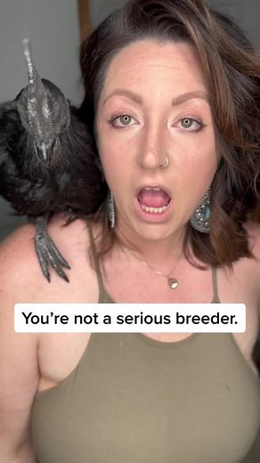 Selective Breeding and Fibromelanistic Chickens: A Small Business Success Story