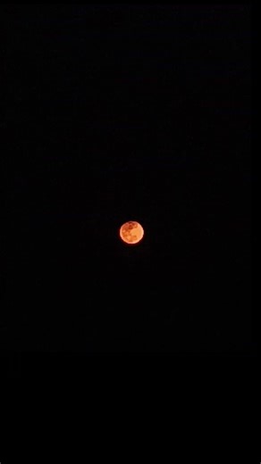 Lunar Eclipse Live View Today | #lunareclipse #space