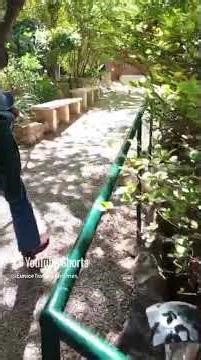 Walking the Path to Golgotha — The Road Where Jesus Carried the Cross.