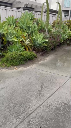 5 comments | Scott Summers on Reels | Facebook