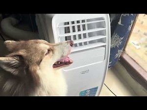 Croma 1.5 Ton Portable AC Dust Filter, Copper Condenser, unboxing and best review 2024 summer￼