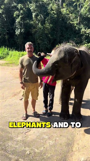 Elephant sanctuary in Thailand. Riding, shows, mixed feelings. What do you think? #travel #Elephants
