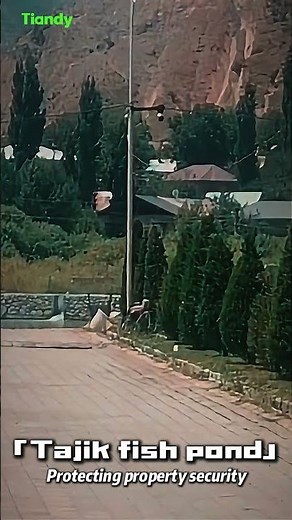 ✅ Tiandy Secures Tajik Fish Farm with Professional Surveillance