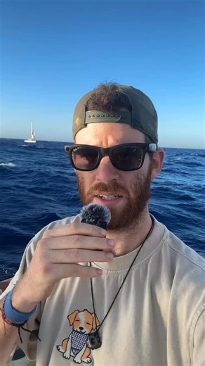 Quentin Quarantino on Instagram: "This may be the last video I get out. The world isn’t free until Palestine is free. Thank you for your support, and I love you all. Sincerely, Tommy Marcus (@tgmarc) creator of @quentin.quarantino and United States citizen"