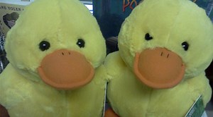 Trauma Toy Chest takes some fear out of youngsters' hospital visits