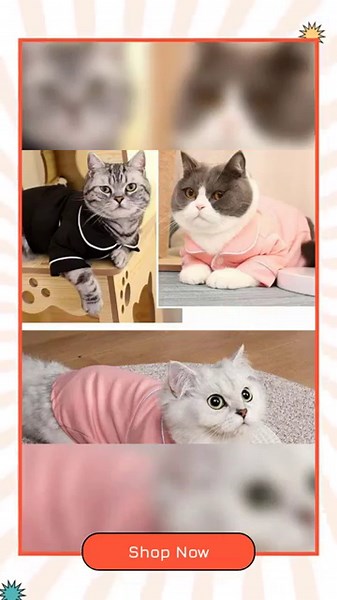 Summer Dog Pajamas for Small Dogs Comfortable Pet Clothing