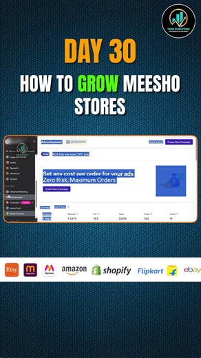 How We Scaled a Meesho Store to 166 Orders in 30 Days | Real Case Study #shorts #meesho #viral #task