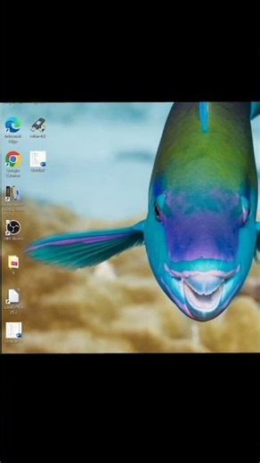 ASCII Art: The Terminal as a Canvas 🎨 #asciiart #art #cmd #terminussocietytech