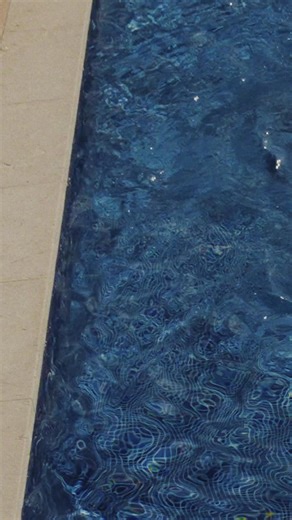 Don't just make an entrance, make them remember it. Explore standout styles, with details crafted to make an impression. | Ted Baker