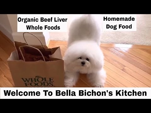 Bella Bichon's Kitchen | How to cook beef liver for dog? | Dog food