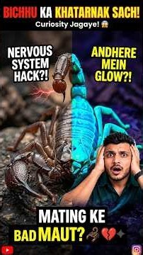 THE DEADLY TRUTH ABOUT SCORPIONS! #scorpion #amazingfacts #sciencefacts #animalfacts #interesting...
