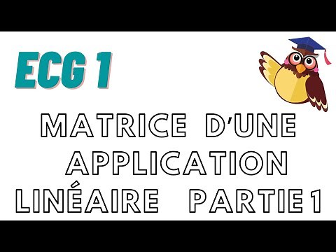 Matrice d'une Application Linéaire - Partie 1 - Cours ECG Maths APPRO/Maths APPLI