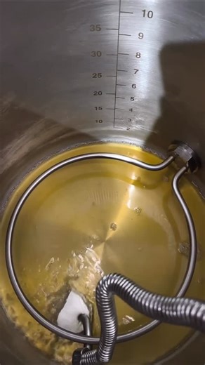 Homebrewing Experience on Instagram: "Today, I’m brewing a Dortmunder Export for the first time. Medium bodied, 5.5% and pale lager. Can’t wait to try it. . #homebrewingexperience #homebrewing #homebrewer #homebrew #craftbeer . The owner of the content is: @maltandmayhem"