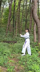 71K views · 2.9K reactions | Side Kick | Karate Techniques | Facebook