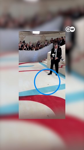 Best dressed? A cockroach found his 15 seconds of fame on the #MetGala red carpet, before getting unceremoniously squashed. | DW News